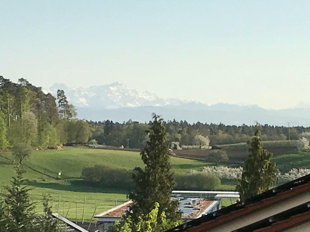 Ferienwohnung 24 Tettnang Bagian luar foto